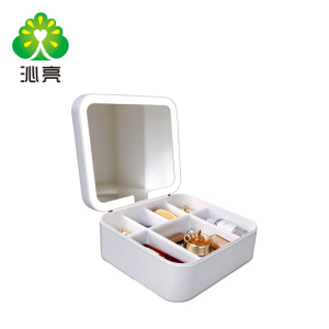 LED Makeup Case with Divided Storage