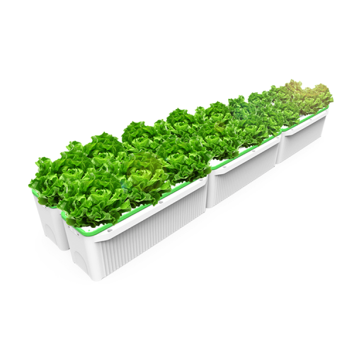 lndoor Automatic hydroponics for plant Manufacturers and lndoor Automatic hydroponics for plant Suppliers