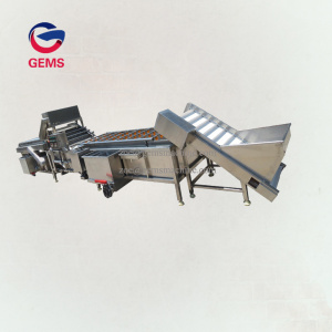 Fruit Vegetable Washing and Drying Machine