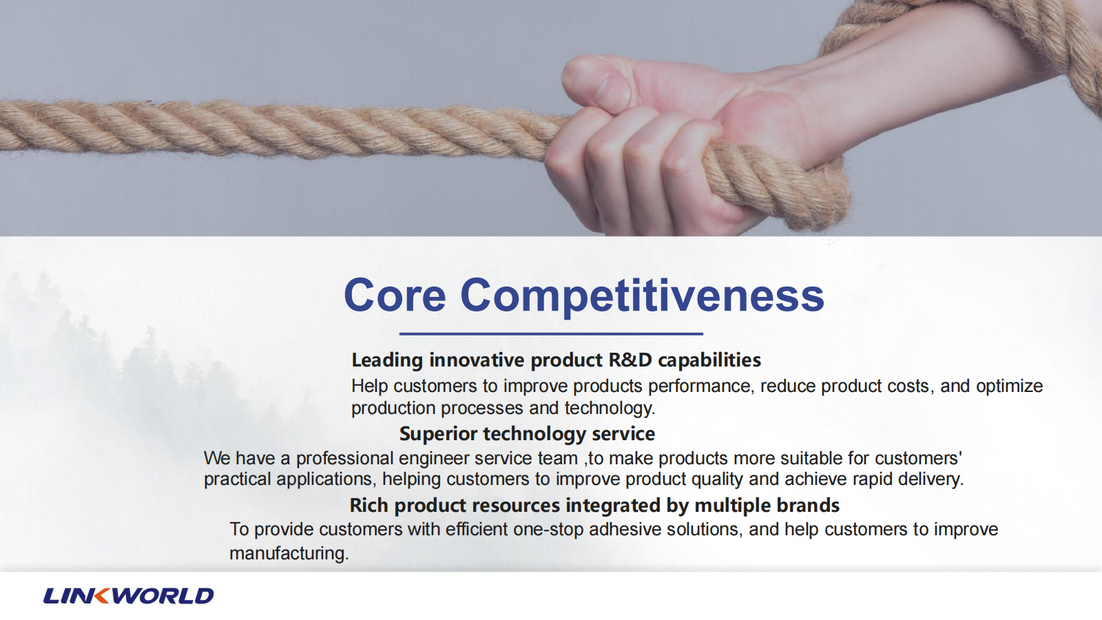 Company Presentation_05