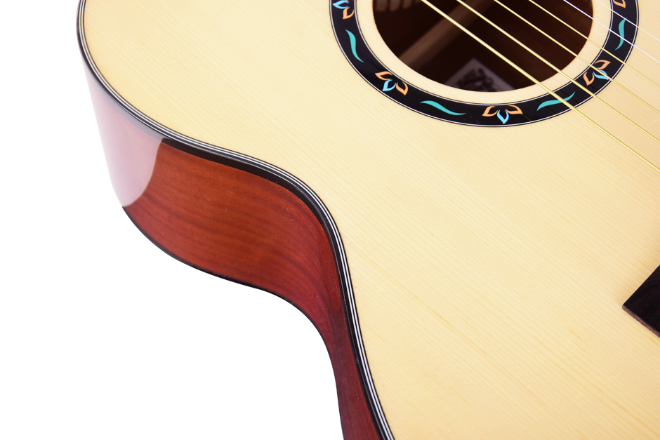 Tayste Ts 220a Acoustic Guitar 5