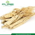 Wholesale Natural Bulk Panax Ginseng root