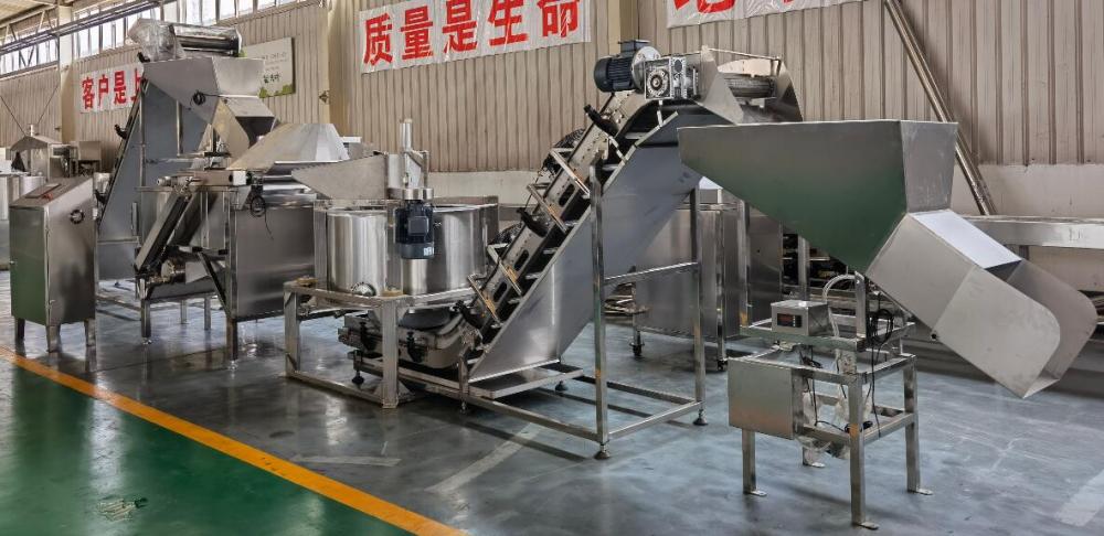 Batch Fryer Line