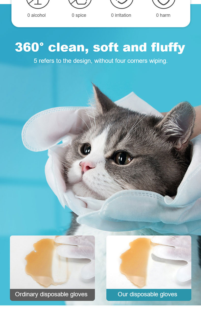 Cleaning Gloves Jpg