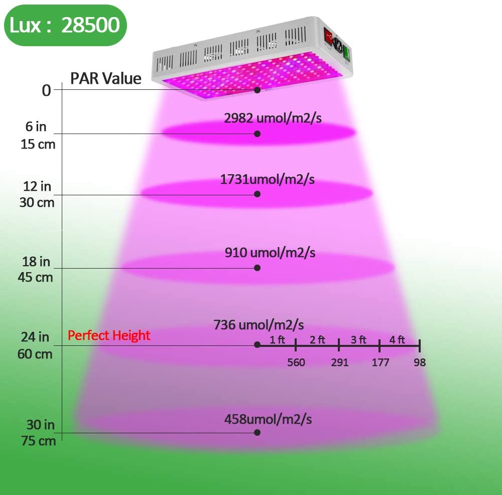 Seed starting with led grow lights 1500W