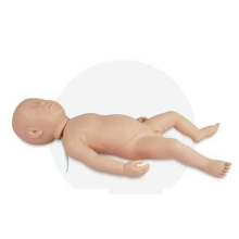 Full body Infant head injection Model