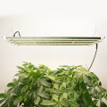 https://www.bossgoo.com/product-detail/bar-grow-lights-730w-for-indoor-62213161.html