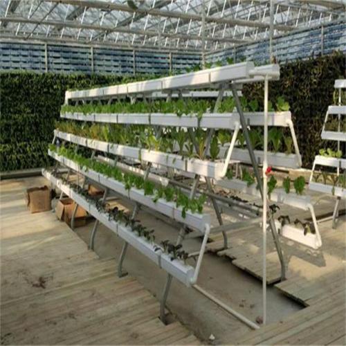 Greenhouse Hydroponic NFT Planting PVC Pipes Manufacturers and Greenhouse Hydroponic NFT Planting PVC Pipes Suppliers