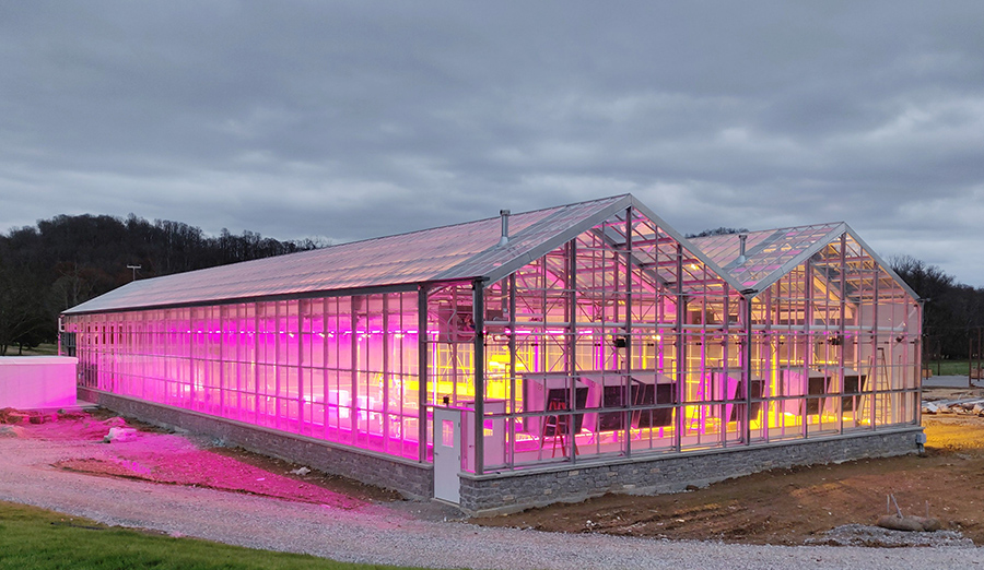 grow light full spectrum