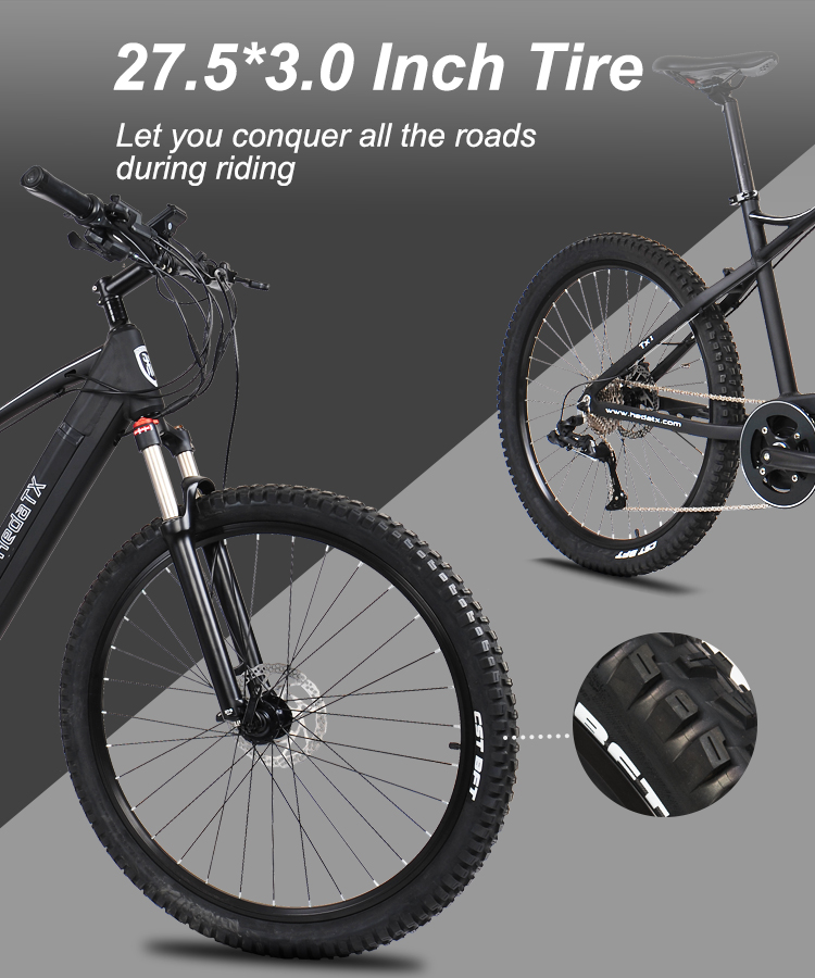 Electric Mountain Bike