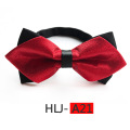 HLJ-A21