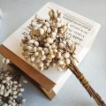 About 45cm A Bunch Mushrooms Grass Natural Small Ginkgo Nuts Plant Bridesmaid Bouquet Home Decoration Dried Flowers No Vase