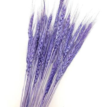 25 sticks/bundle natural wheat dried flower decoration M6O9