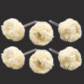 Wool Polishing Wheel With 2.35MM/3.0MM Shanks 10pcs Buffing Pad Brush Set Dremel Accessories for Rotary Tools