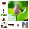 Tulips Pure Essential Oils 10ML 12 Smells Gift Set Humidifier Aromatherapy Crown of Thorns Sunflower Peony Essential Oil 1Pcs