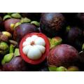 Good And Sweet  Mangostana