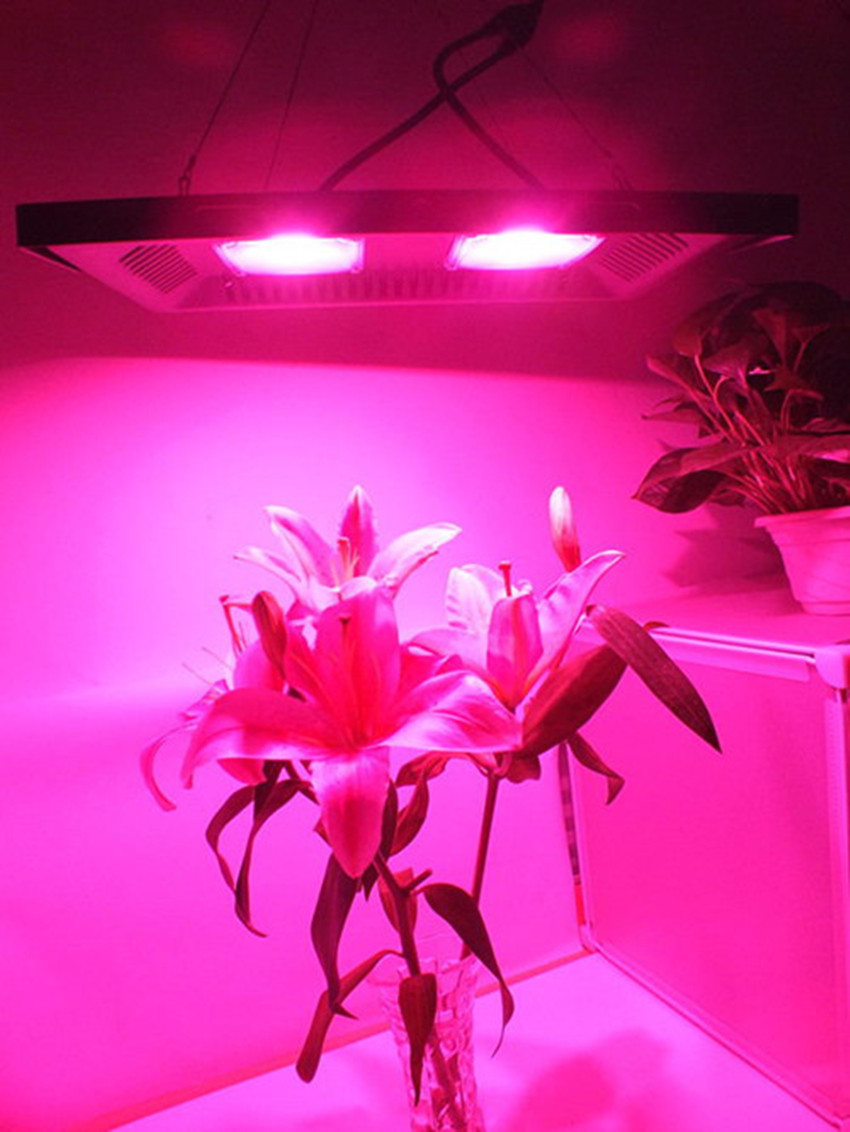 Cob Grow Light