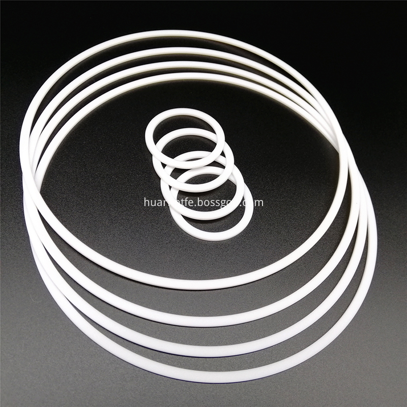 Backup Ring 4