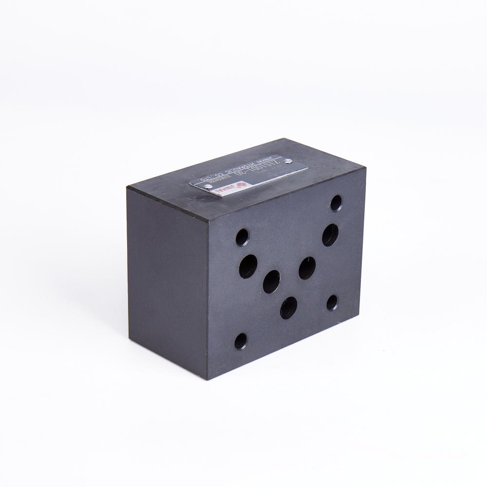 Z1s10d Check Valve 3