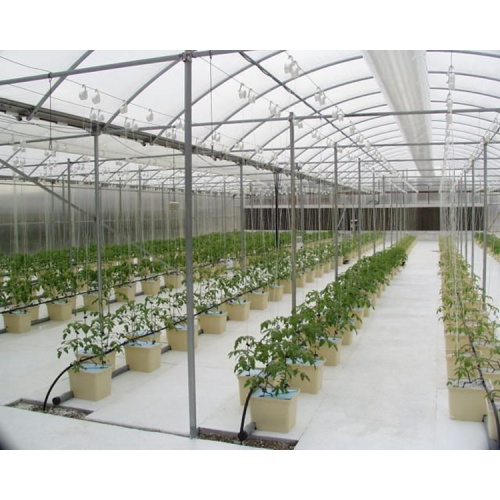 indoor home planting Dutch Bucket Hydroponics growing system Manufacturers and indoor home planting Dutch Bucket Hydroponics growing system Suppliers