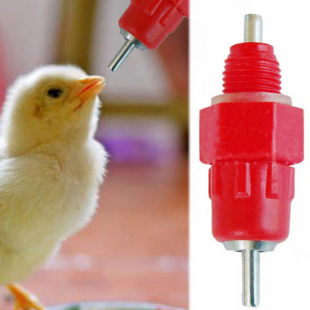 top selling in 2020 10Pcs Poultry Water Drinking Nipples Duck Chicken Hen Feeding Screw In Drinker accept dropshipping Wholesale