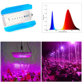 136 Leds Phytolamp For Plants Indoor Cultivation Phyto Lamp Greenhouse Grow Light Full Spectrum Hydroponics Spotlight Led Panel