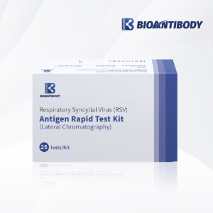 High Quality Respiratory Syncytial Virus Antigen Test Kit
