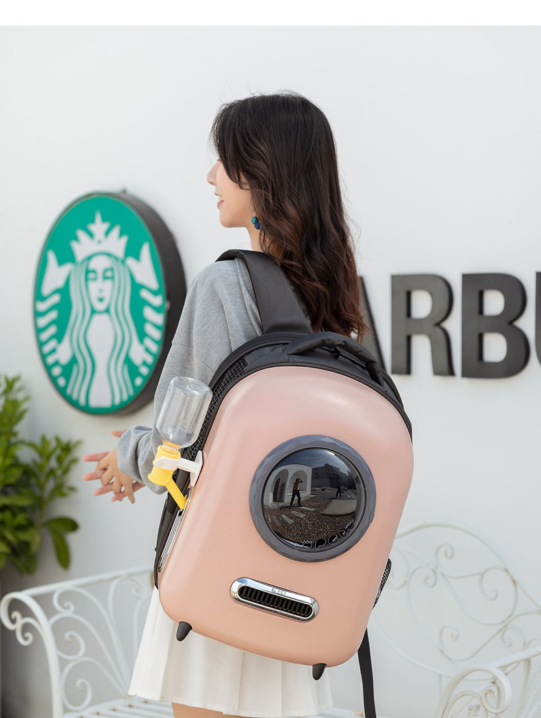 Pet Travel Carrier