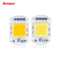 2000 Lumen COB LED Chip Lamp 20W 30W 50W 220V 110V LED Diode Array Spotlight Floodlight Light Bulb Smart IC No Flicker