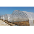 Vegetable greenhouse steel frame galvanized steel pipe