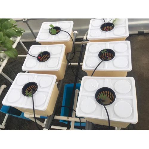 Home planting Dutch Bucket Hydroponics growing system Manufacturers and Home planting Dutch Bucket Hydroponics growing system Suppliers