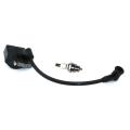 Ignition Coil Module With Spark Plug BM6A For Stihl BG55 BG65 BG85 BG45 BG46 BR45 SH55 SH85 AM42 Leaf Blower Parts#4229 400 1300