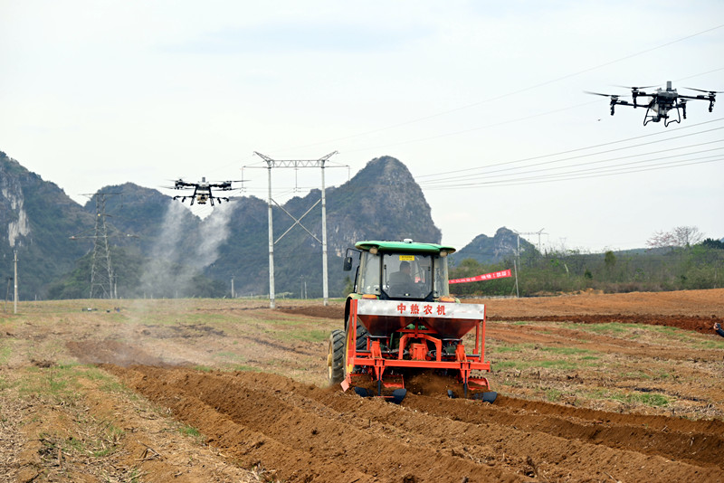 Sugarcane fertilizer cultivator