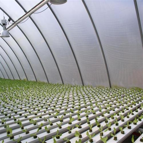 Greenhouse commerical Hydroponics NFT Flat Hydroponics Manufacturers and Greenhouse commerical Hydroponics NFT Flat Hydroponics Suppliers