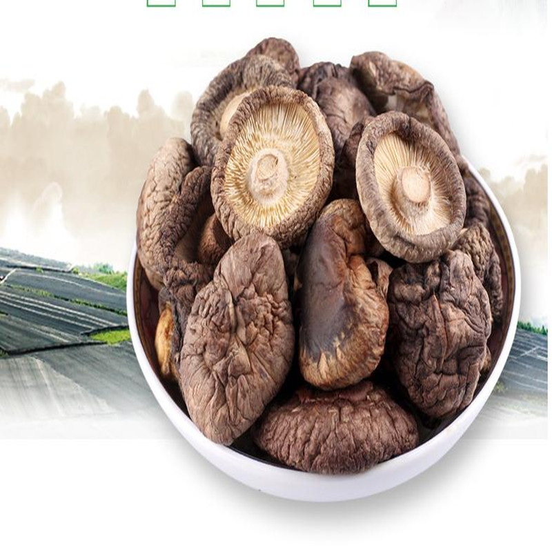 Natural Wild Mushrooms Edible Mushrooms Lower Cholesterol Dry Mushrooms Wild Healthy Food, Dried Mushrooms, Free Shipping