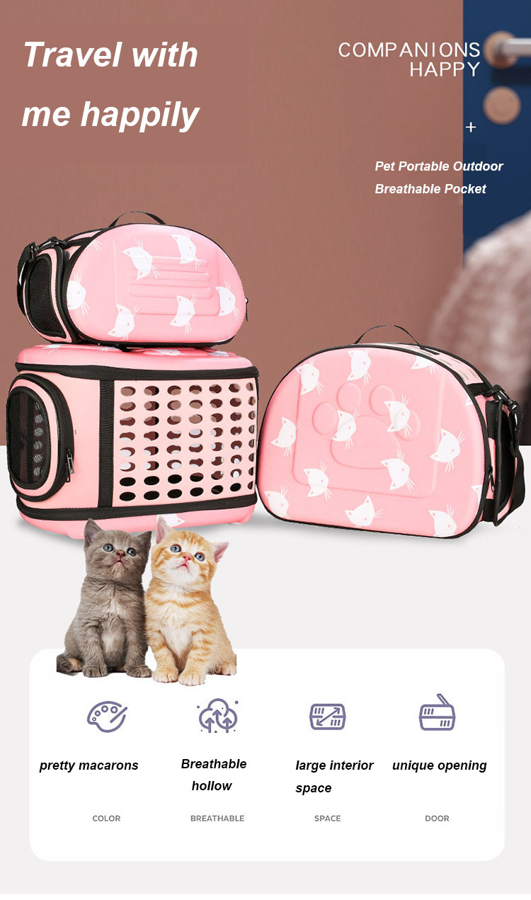Pet Travel Carrier