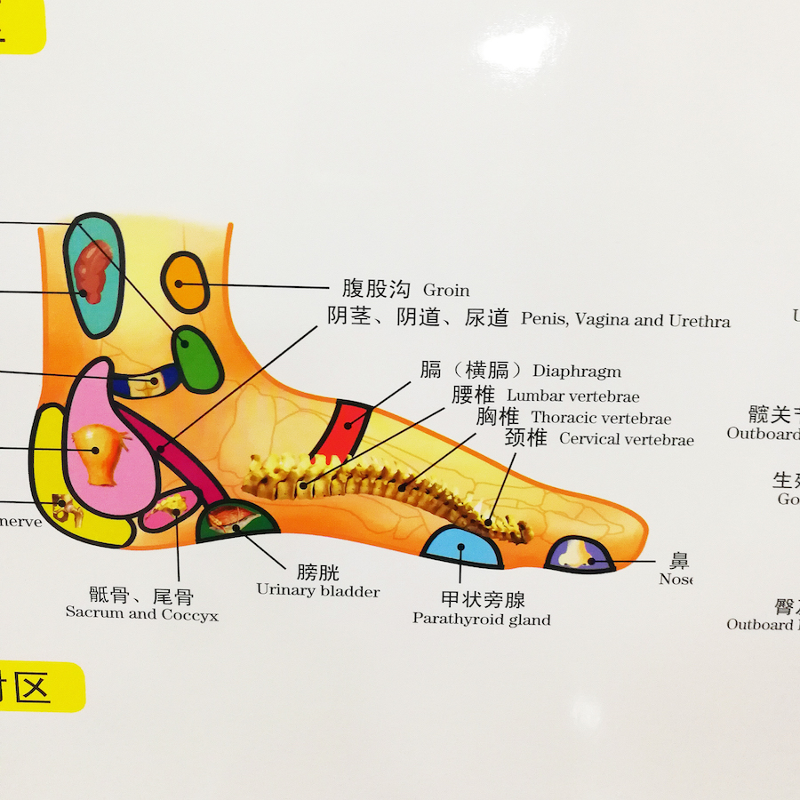 The Newest Standard Reflection Hologram of the Hand / Foot Bilingual charts Chinese and English for Self Care