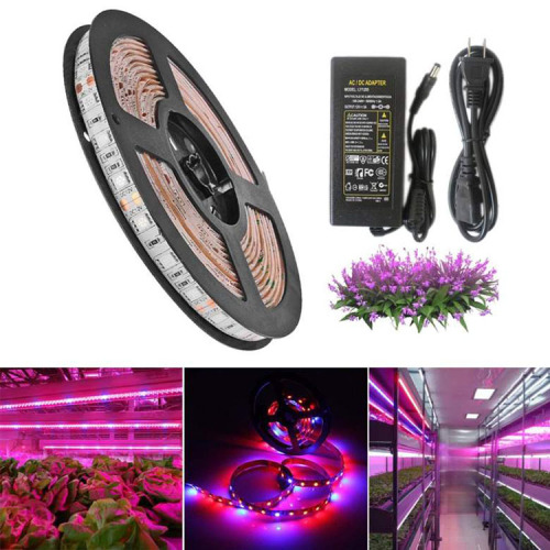 Hydroponic LED Grow Light Strip Manufacturers and Hydroponic LED Grow Light Strip Suppliers