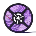 5m 12V UV LED Strip SMD 5050 3528 2835 Black Flexible LED light 60leds/m Ultraviolet Ray Tape Lamp