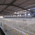 Poultry Heating System