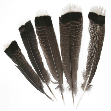 50Pcs/Lot Natural Eagle Bird Feathers for Crafts 25-30cm/10-12