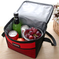Portable Travel Picnic Necessity Kit Thermal Insulated Tote Lunch bolsa termica Bag Cooler Box Handbag
