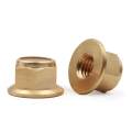 10PCS/lot M2 M2.5 M3 M4 M5 M6 M8 Brass DIN6926 flange nylon insert lock nut not Copper