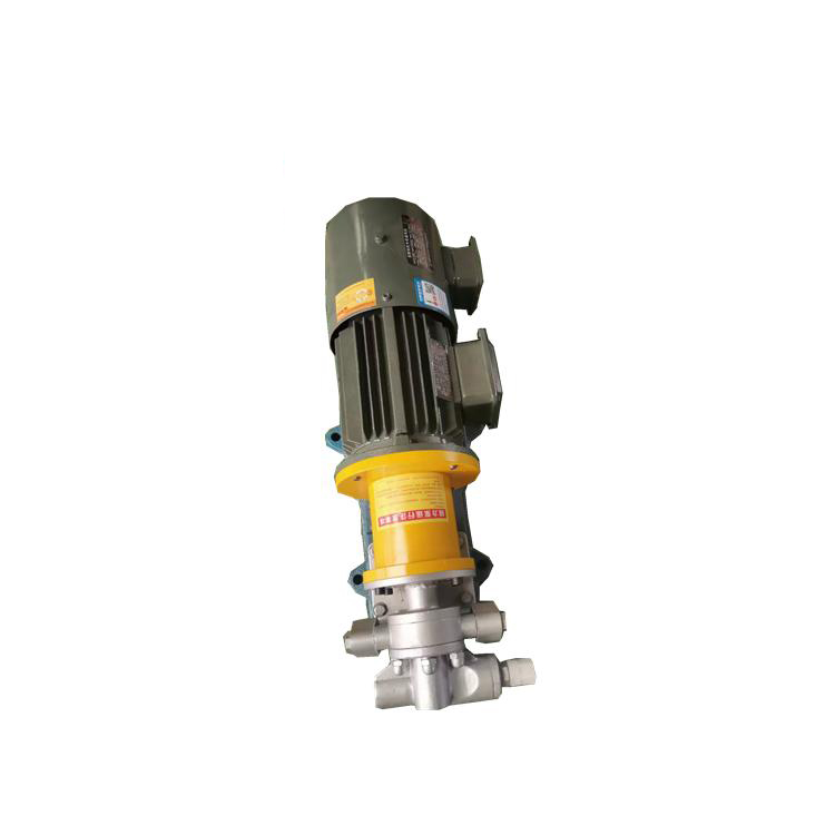 Stainless Steel Gear Pump Magnetic Pump Leak Free Gear Pump2
