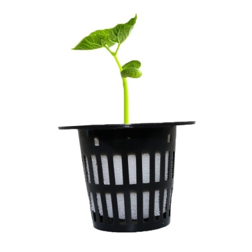 Plant basket for hydroponic system Manufacturers and Plant basket for hydroponic system Suppliers