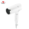 GIFTFORALL Hairdryer Professional Styling Wall Mounted hair dryer not hurt the hair hot and cold Bathroom Home Hair Dryer D159
