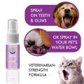 30ml Dental Pet Spray Dog Breath Freshener Teeth Cleaner for Cat and Dog Fresh Breath Supplies