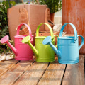 Garden Mini Pastoral Style Water Cans Colorful Iron Flower Pot Mini Bonsai Watering Pot Garden Supplies Spray Bottle Wholesale