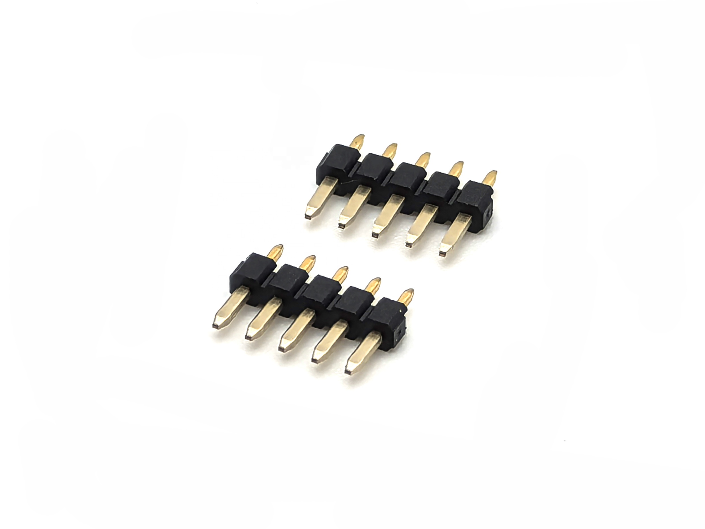 Main-04