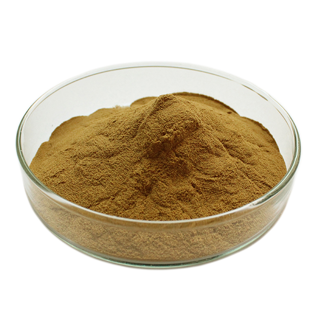 Turkey Tail Extract